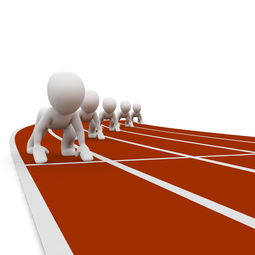 九游体育官网-全运会筹备工作进入冲刺阶段，全运会备战方案